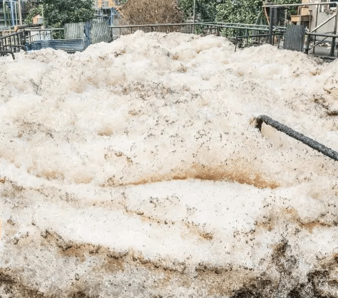 （圖：客戶(hù)電廠污水池泡沫）