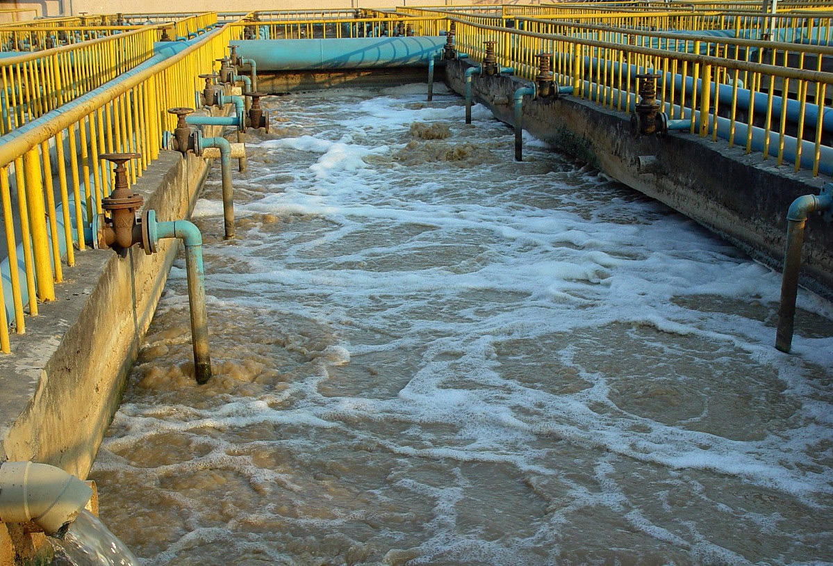 （圖：養(yǎng)殖場污水泡沫池）