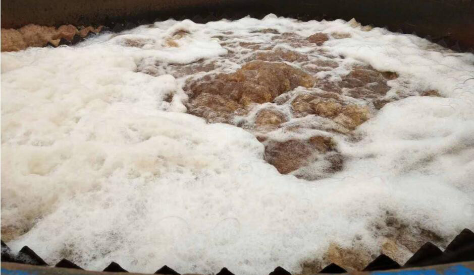 （圖：污水處理廠出水有白色泡沫）